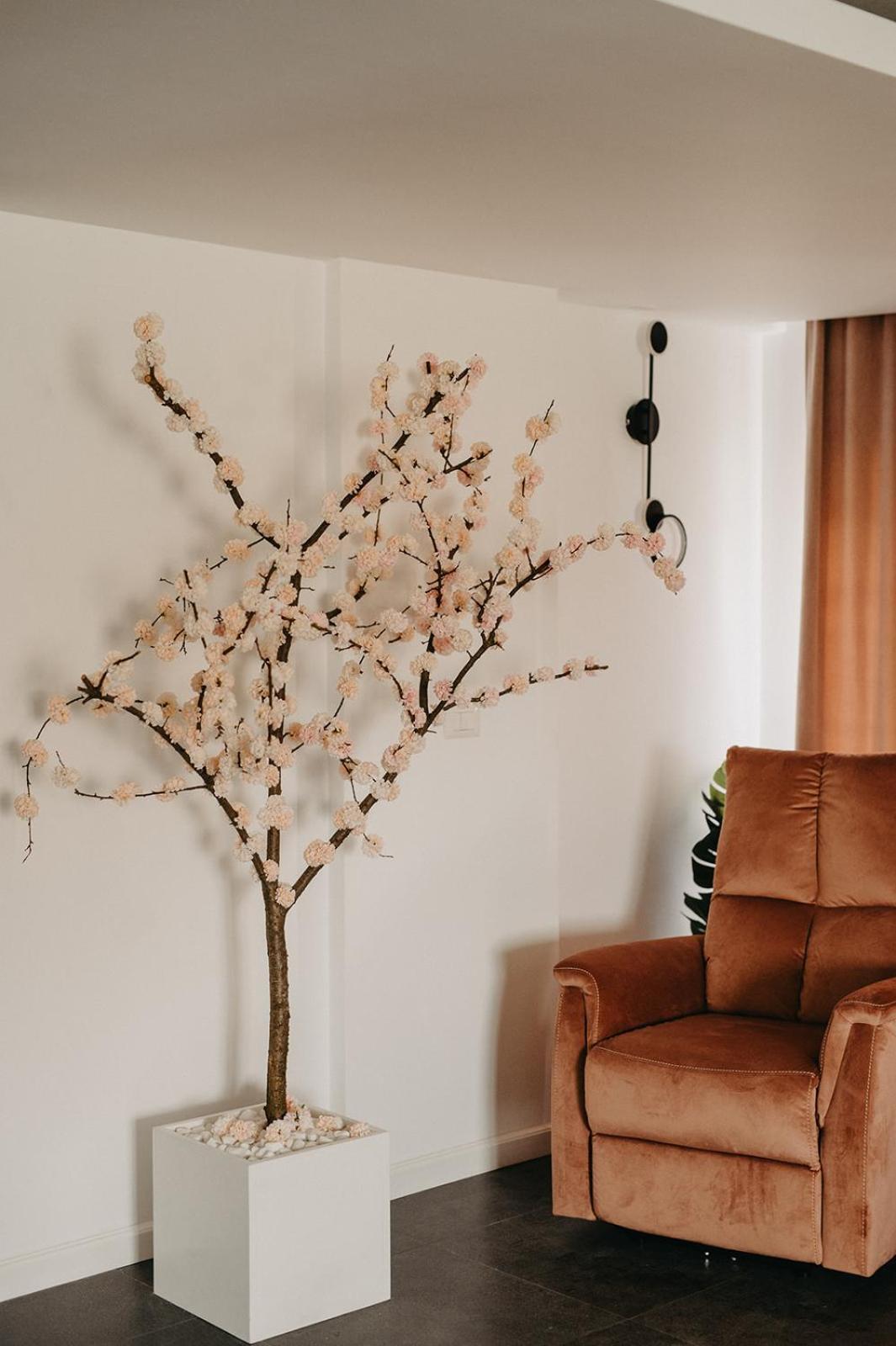 Cazare Baile Figa -The Home Drm Beclean  Zewnętrze zdjęcie